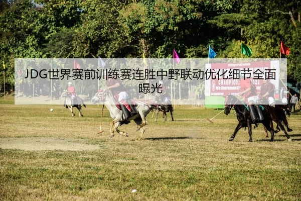 JDG世界赛前训练赛连胜中野联动优化细节全面曝光（BaJIeSPORtS）